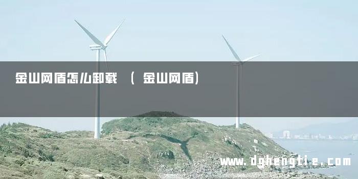 金山网盾怎么卸载 (金山网盾)